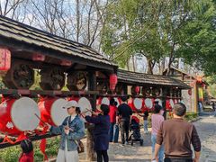 -合肥滨湖国家森林公园