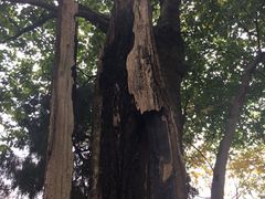 -金堂县云顶石城风景区