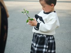 -郑州植物园