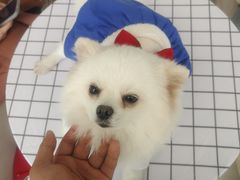 -怪兽屋·羊驼·猫咖·狗咖(俊华广场店)