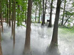 -东湖落雁景区
