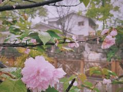 -南山植物园