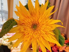 -森野花艺培训·企业团建活动沙龙