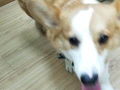 -韩通韩国语学院(虹口校区)