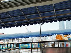 -澳门环岛游湾仔码头