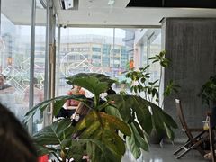 -喜茶(珠海华发商都店)