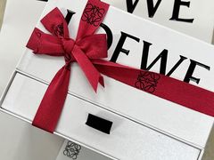 -LOEWE罗意威(北京SKP女装店(一层))