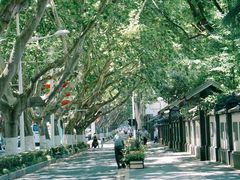 -颐和路民国时期公馆风貌区