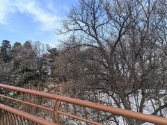 -少华山国家森林公园