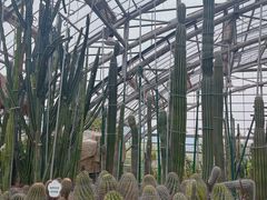 -南山植物园