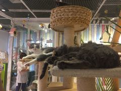 -小时光咖啡馆(开森度假森林店)
