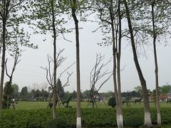 -夏河溪乡野公园