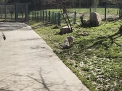 -西安秦岭野生动物园