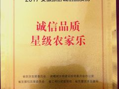 红烧臭鳜鱼（小）-水香园·中国徽菜名店(紫霞大道店)