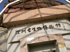 -深圳仙湖植物园