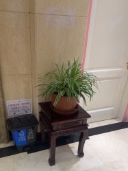 -北京俪婴妇产医院(朝阳大悦城店)