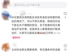 -全心全意连锁动物医院·微创中心·内科急重症·心脏专科(丰管路店)
