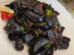 小木耳-骏莱海鲜鱼港(五角场店)