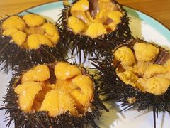 -海胆小馆(东北水饺·春柳店)