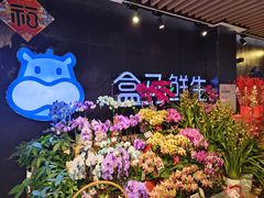 -盒马鲜生(曜一城店)