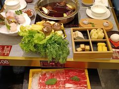 -一绪に寿喜烧(荟聚店)