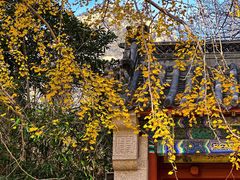 -青岛崂山太清宫