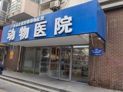 -全心全意连锁动物医院·微创中心·内科急重症·心脏专科(丰管路店)