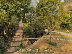-马口生态公园