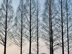 -东钱湖旅游度假区