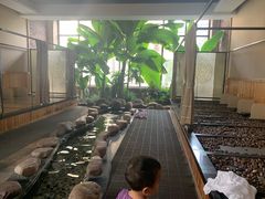 -国御温泉度假小镇