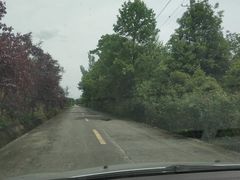 -洪湖家庭农场·团建·露营·会议