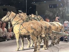 -秦始皇帝陵博物院-丽山园