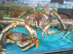 -盒马鲜生(大行宫店)