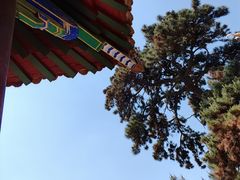 -北陵公园