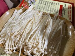 -顺德哥卜卜贝(旗舰店)