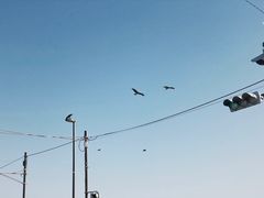 -灌篮高手动画打卡地