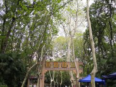 -灵谷景区
