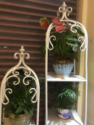 点击看大图 -东芳韵·疗愈美肌SPA