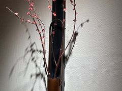 -小隐人家(乐松店)