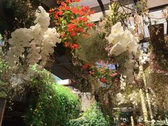 -The Grounds of Alexandria