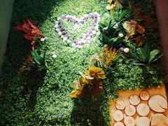 -路边摊小炉子烧烤