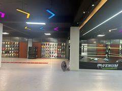 -Super Sy泰拳格斗