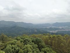 -水濂山森林公园