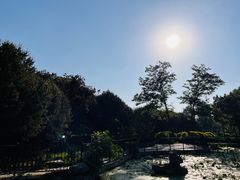 -莲花池公园