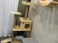 -宠爱国际动物医院· 猫科· 外科·中兽医(长白店)