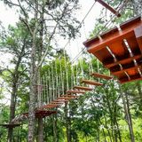 带宝贝体验“绿野仙踪”🌴