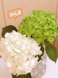 -和美东方产后恢复管理中心(长虹国际城店)