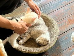 -豌豆小院咖啡馆