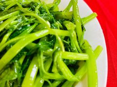 -蛇口康乐快餐鱼仔档(翠苑小区店)