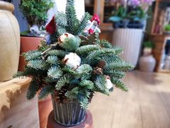 -花到家(富贵鸟花艺行)